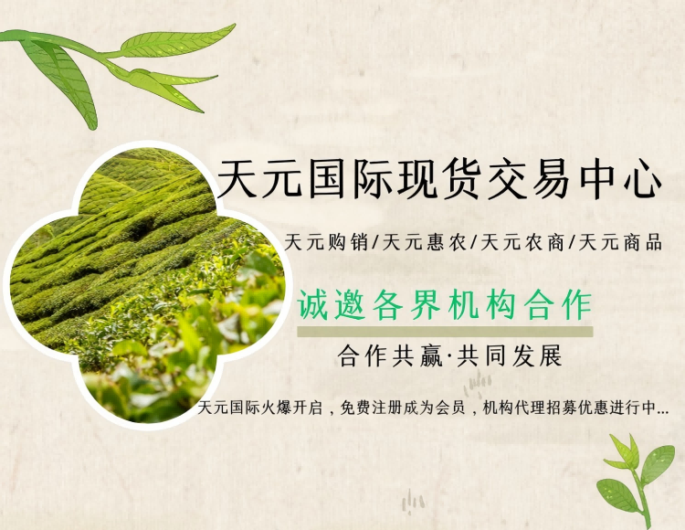 關(guān)于我們